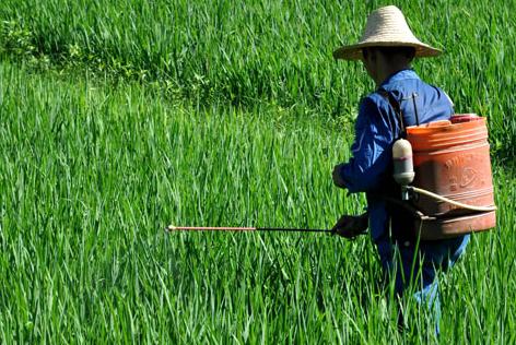 草甘膦價格最新走勢,草甘膦價格最新走勢分析