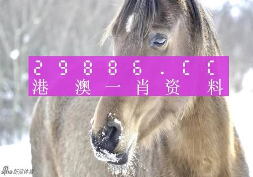 澳門平特一肖100%準(zhǔn)確嗎,澳門平特一肖100%準(zhǔn)確性的探討與理解