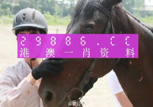 澳門最準(zhǔn)一肖一碼一碼,澳門最準(zhǔn)一肖一碼一碼，揭示背后的真相與警示