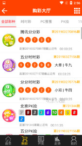 王中王493333中特1肖,王中王493333中特1肖，探尋神秘?cái)?shù)字背后的故事與奧秘