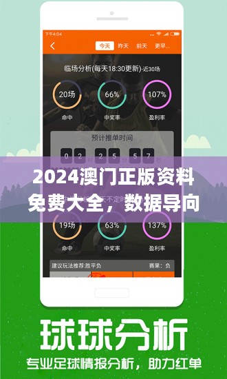 2024新澳正版免費(fèi)資料,探索2024新澳正版免費(fèi)資料的世界