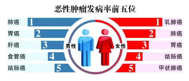 2024年管家婆四肖期期準,揭秘2024年管家婆四肖期期準的奧秘