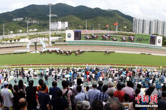 香港馬資料更新最快的,香港賽馬資料更新的速度與深度，與時(shí)俱進(jìn)，領(lǐng)先行業(yè)前沿