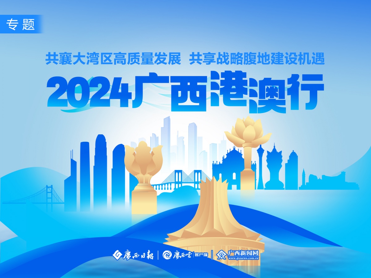 2024澳門正版免費精準大全,關(guān)于澳門正版免費精準大全的探討與反思——警惕違法犯罪問題的重要性