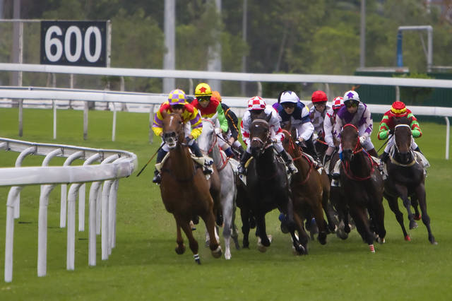 2024今晚香港開特馬開什么,探索香港賽馬文化，2024今晚香港特馬展望