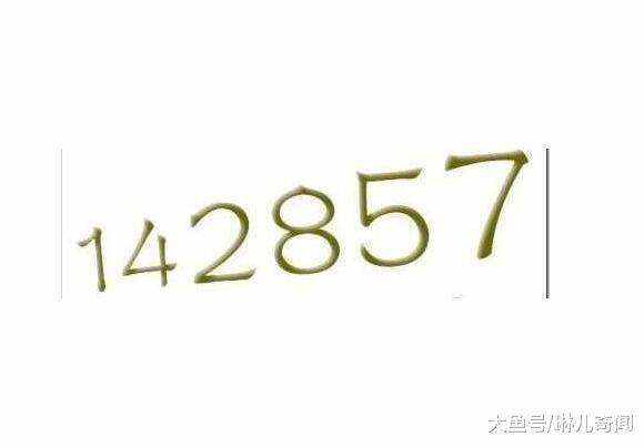 7777788888一肖一碼,探索神秘數(shù)字組合，77777與88888一肖一碼的魅力與啟示