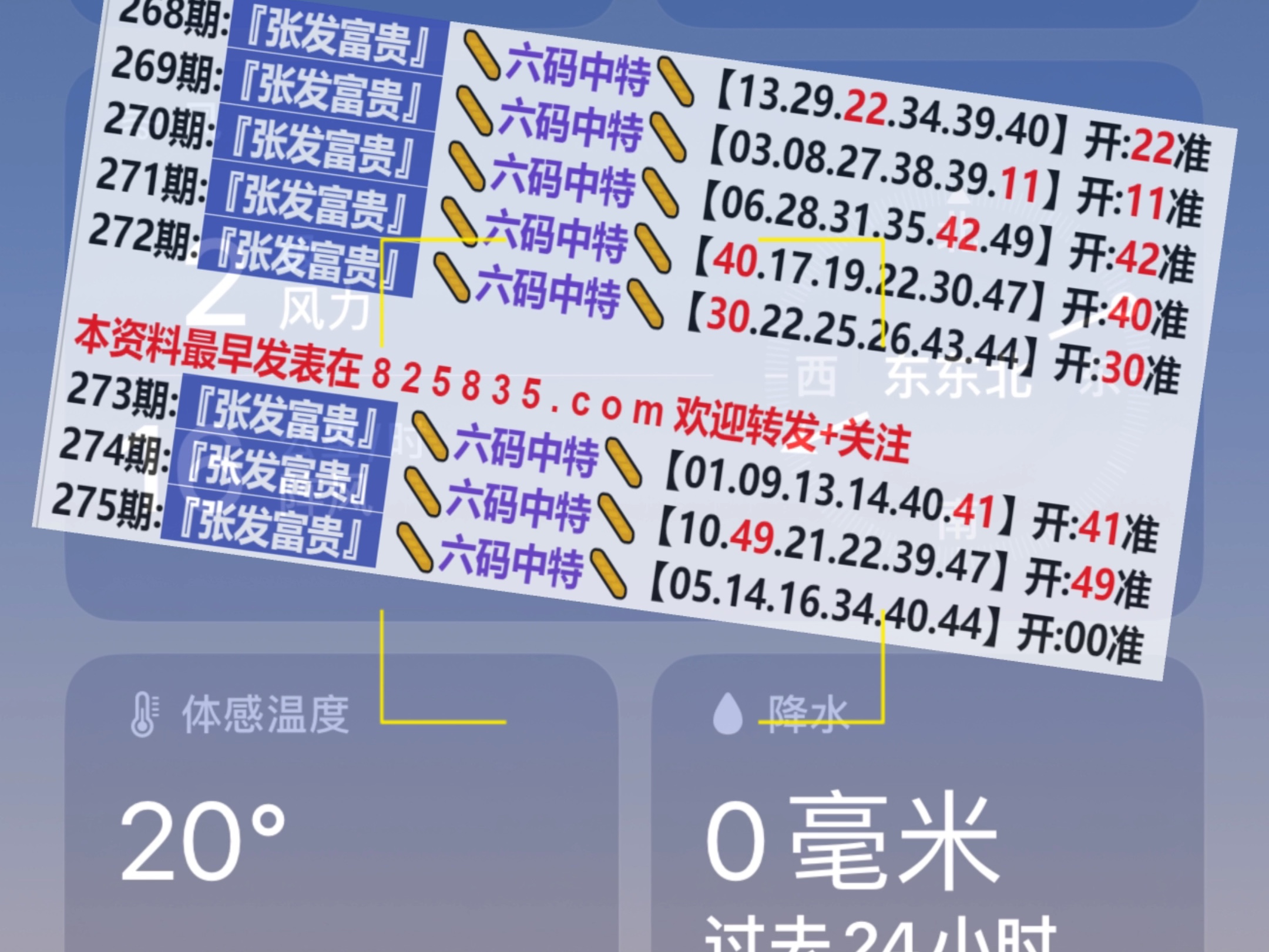 2024新奧門天天開好彩大全85期,探索新奧門天天開好彩大全的奧秘，第85期展望與解析