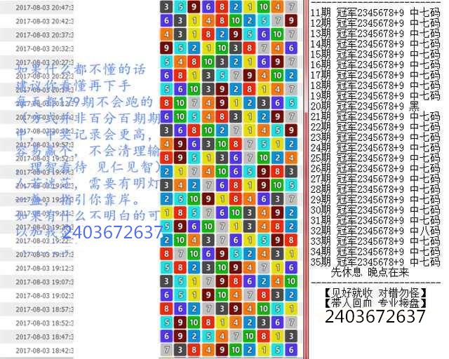 新澳門王中王100%期期中,新澳門王中王，揭秘期期中的秘密