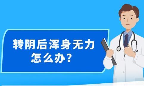 新澳精準資料內(nèi)部資料,新澳精準資料內(nèi)部資料深度解析與應(yīng)用展望