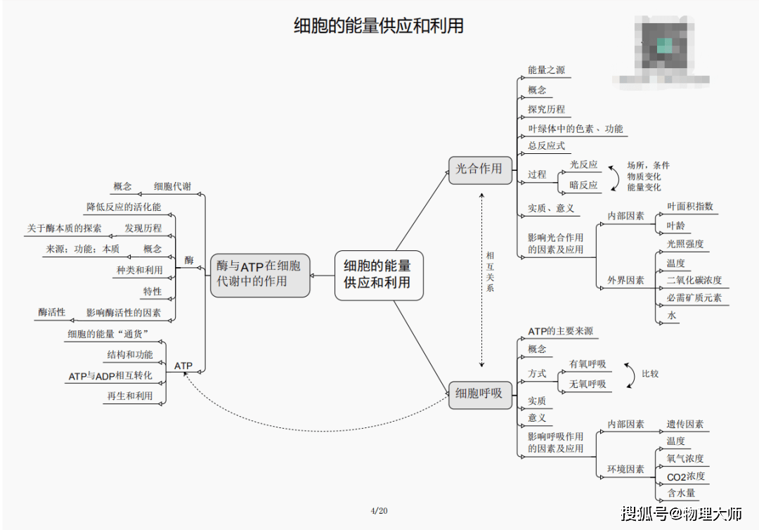 白小姐三肖三期必出一期開獎哩哩,白小姐三肖三期必出一期開獎哩哩——揭秘彩票神話與真實