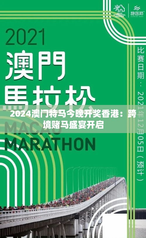 2024澳門特馬今晚開網(wǎng)站,探索澳門特馬文化，2024澳門特馬今晚開網(wǎng)站