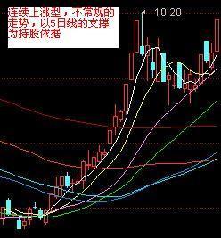 一碼一肖100準(zhǔn)碼,一碼一肖的獨特魅力與精準(zhǔn)度，揭秘準(zhǔn)碼背后的秘密