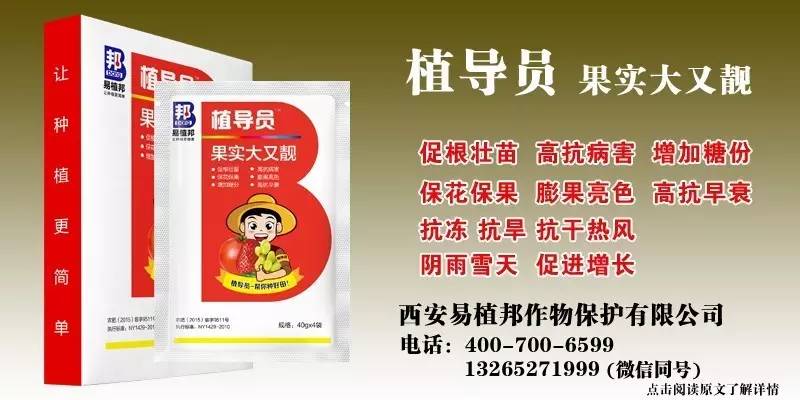 澳門王中王100%期期中一期,澳門王中王100%期期中一期，揭秘彩票背后的秘密