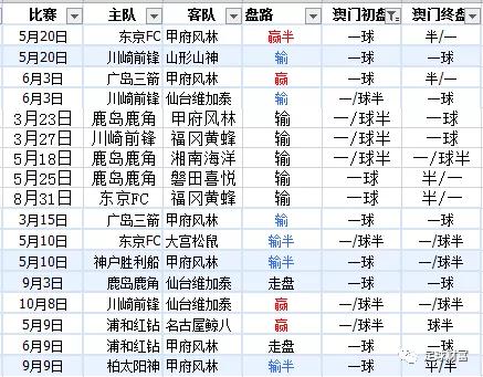 新澳內(nèi)部資料精準一碼波色表,新澳內(nèi)部資料精準一碼波色表，揭秘與解讀