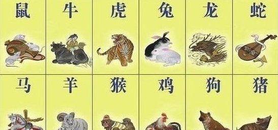 一肖一碼,一肖一碼，探索數(shù)字與生肖的奧秘