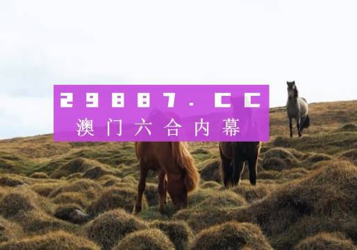 新奧門開獎(jiǎng)結(jié)果+開獎(jiǎng)結(jié)果,新澳門開獎(jiǎng)結(jié)果及開獎(jiǎng)概述