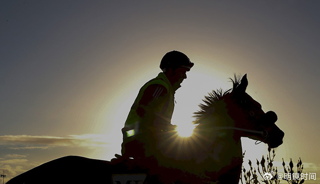 2024澳門特馬今晚開,探索澳門特馬的世界，今晚開獎的奧秘與期待