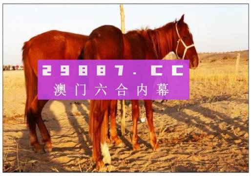 新澳門最快開獎(jiǎng)六開開獎(jiǎng)結(jié)果,澳門新開獎(jiǎng)六開彩，探索開獎(jiǎng)魅力與結(jié)果