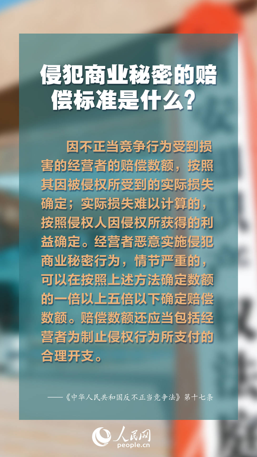 2024年正版資料大全免費(fèi)看,探索未來知識寶庫，2024正版資料大全免費(fèi)共享時(shí)代來臨