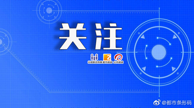 正版掛牌資料全篇100%,正版掛牌資料全篇100%的保障與重要性