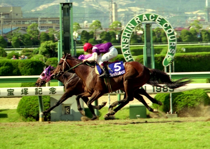 2024今晚香港開特馬,今晚香港開特馬，探尋賽馬文化中的激情與魅力