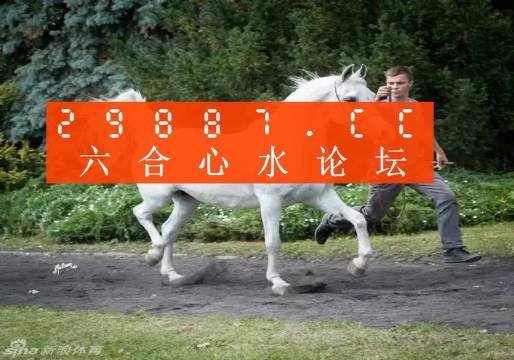 7777788888新版跑狗圖,探索新版跑狗圖，77777與88888的魅力交織