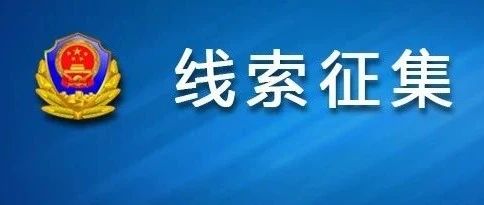 澳門正版資料免費大全新聞——揭示違法犯罪問題,澳門正版資料免費大全新聞——深入揭示違法犯罪問題的現(xiàn)實與應(yīng)對