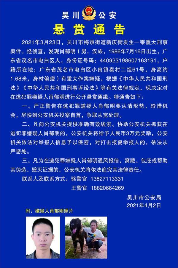 澳門一肖一特100精準免費,澳門一肖一特與犯罪問題，揭示真相與警示公眾