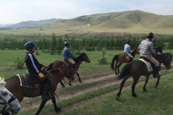 澳門今晚開特馬四不像圖,澳門今晚開特馬四不像圖——探索澳門馬圖文化中的神秘元素