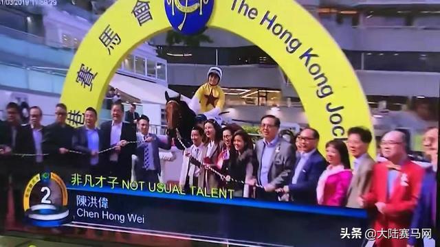 2024今晚香港開(kāi)特馬開(kāi)什么,探索香港賽馬文化，2024今晚特馬賽事展望