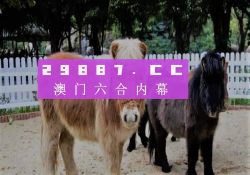 澳門二四六精準(zhǔn)大全,澳門二四六精準(zhǔn)大全，探索與解讀