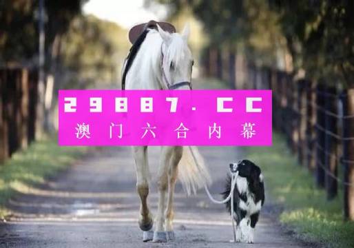 新澳2024年精準(zhǔn)一肖一碼,新澳2024年精準(zhǔn)一肖一碼，預(yù)測(cè)背后的故事與探索