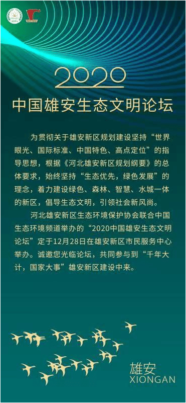 紅姐論壇資料大全,紅姐論壇資料大全，深度解析與探索