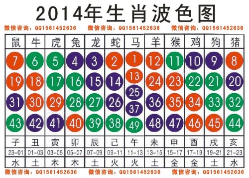 2025十二生肖49碼表,揭秘2025十二生肖與彩票49碼表的神秘關(guān)聯(lián)