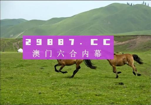 7777788888精準(zhǔn)跑狗圖,探索精準(zhǔn)跑狗圖，神秘的數(shù)字組合77777與88888的啟示