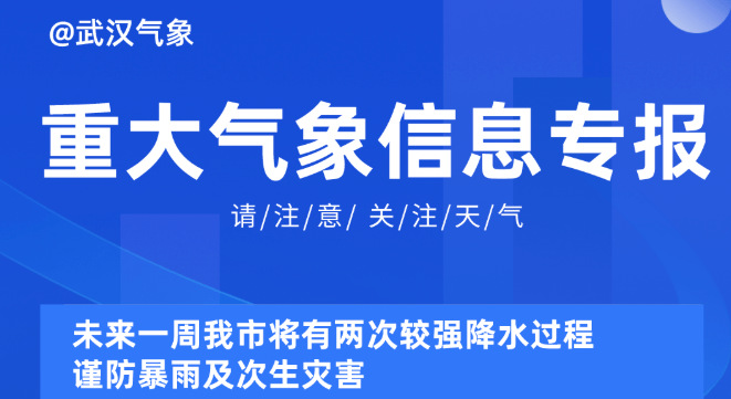 2025年1月25日 第28頁