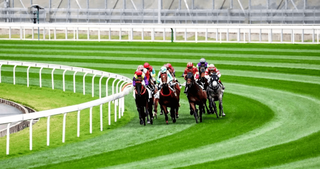 930香港馬精準資料,香港賽馬精準資料，探索930賽事的奧秘