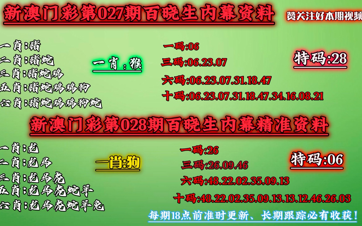 澳門一碼中精準一碼的投注技巧,澳門一碼中精準一碼的投注技巧