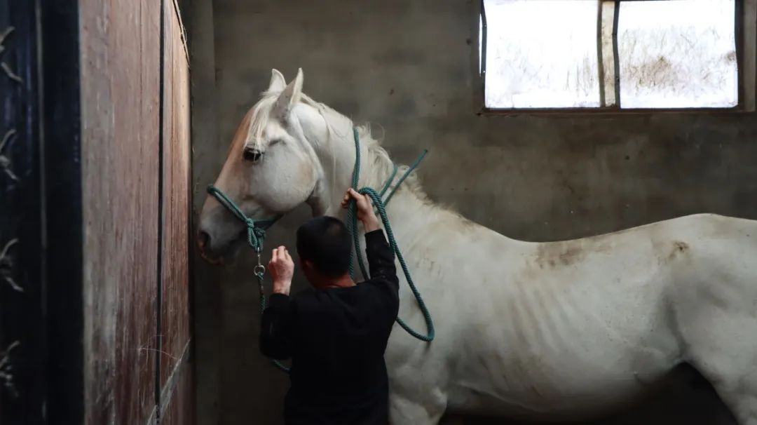 930香港馬精準資料,香港賽馬，930賽事的精準資料深度解析