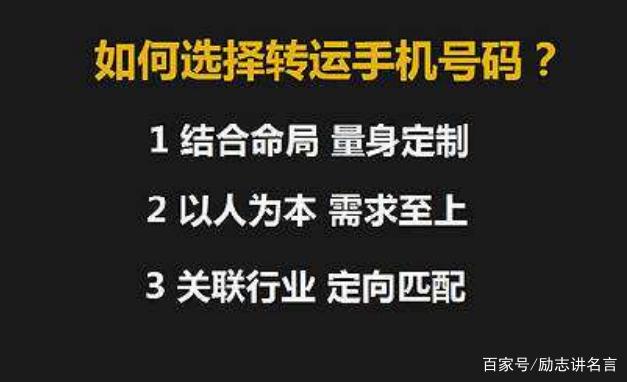 777778888精準(zhǔn)跑狗,揭秘精準(zhǔn)跑狗，探尋數(shù)字組合77777與88888背后的故事