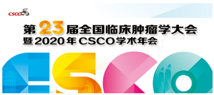 2025新奧資料免費(fèi)精準(zhǔn)051,探索未來，2025新奧資料的免費(fèi)精準(zhǔn)獲取之道