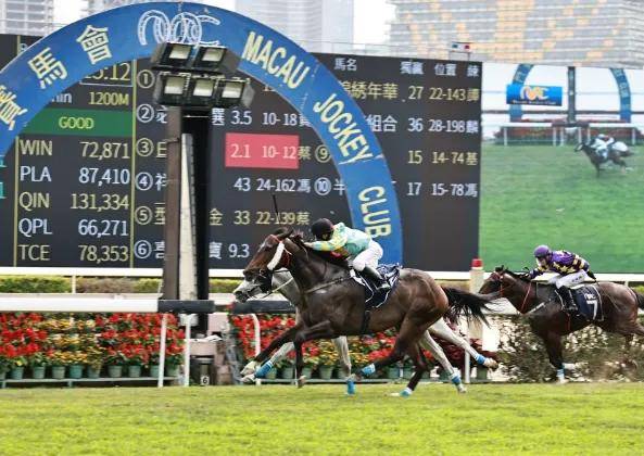 2025澳門特馬今晚開獎歷史,澳門特馬今晚開獎歷史，回顧與前瞻