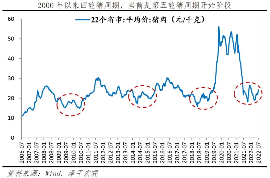 2025今晚新澳開獎號碼,關于今晚新澳開獎號碼的探討與預測（2025年）