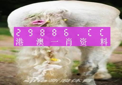 新澳門資料全年免費(fèi)精準(zhǔn)027期 01-05-10-26-27-34U：35,新澳門資料全年免費(fèi)精準(zhǔn)解析，探索第027期的數(shù)字奧秘（01-05-10-26-27-34U，35）