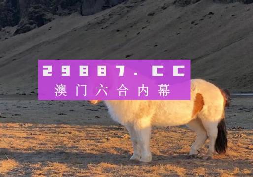 澳門一肖一碼一必開一肖080期 02-16-20-25-39-49Z：14,澳門一肖一碼一必開一肖，探索與解析080期（上）