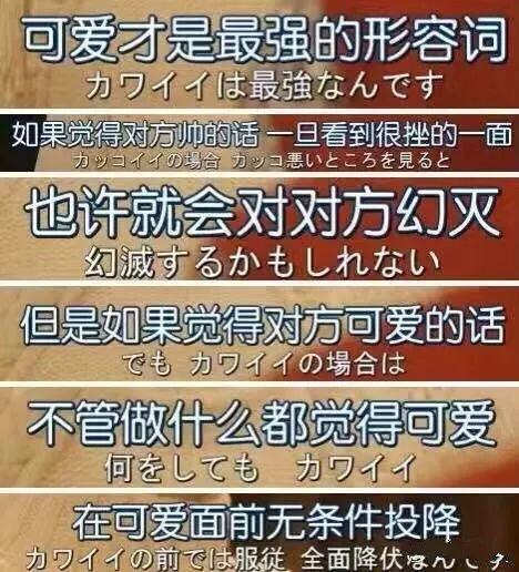 新奧門資料大全正版資料2025099期 12-17-24-39-40-46Y：01,新奧門資料大全正版資料解析，探索2025099期的奧秘與未來趨勢（標(biāo)題）